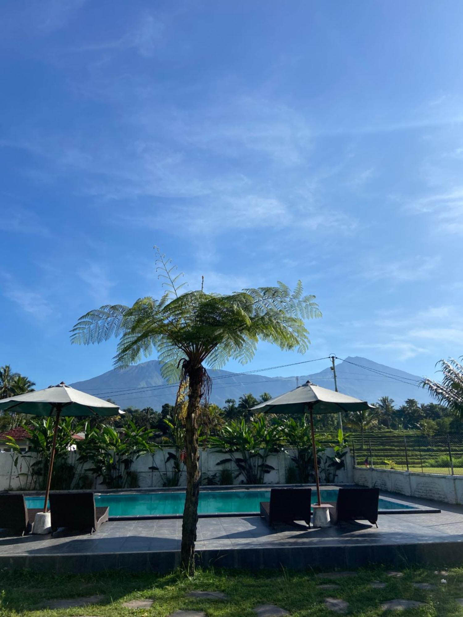Pondok Tetebatu Cottages And Cafe Extérieur photo